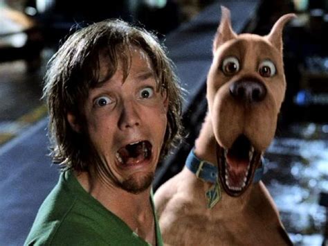 Pin By Chase Dockery On Scooby Doo Shaggy Scooby