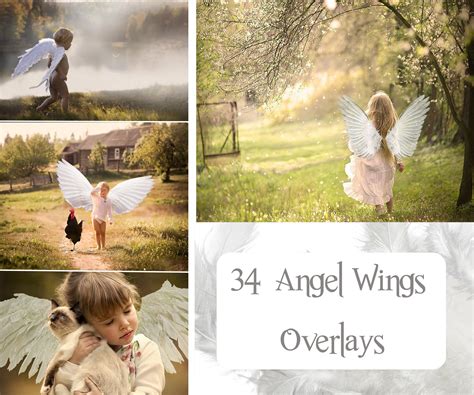 angel wings overlays angel wings photo overlays wings overlay angel