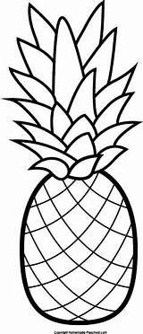 Coloring Clip Pages Pineapple Getdrawings sketch template