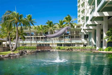 top  romantic oahu honeymoon resorts hawaii travel  kids