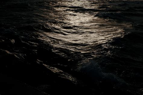 dark water  photo  barnimages