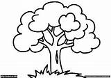 Pohon Mewarnai Baum Ausmalen Malvorlagen Ausmalbilder sketch template