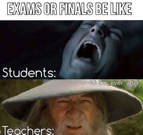 lord of the rings memes exams or finals wattpad