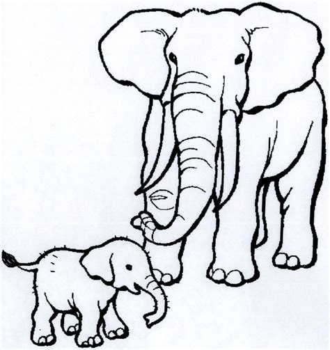 drawing  indian elephant  getdrawings
