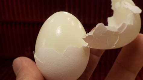 secrets  making easy peel hard boiled eggs delishably