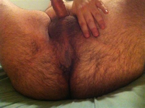 Bear Hairy Ass Tumblr