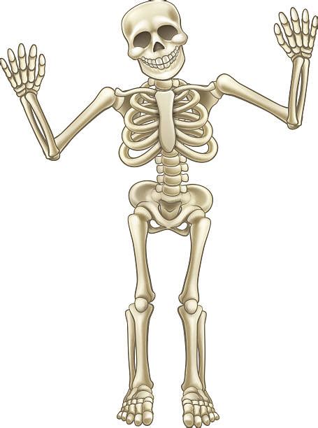 Best Funny Skeleton Illustrations Royalty Free Vector