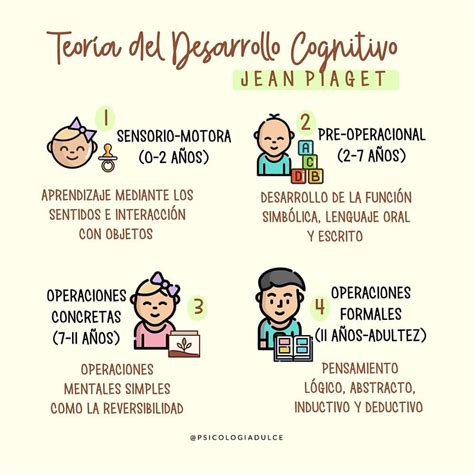 4 Etapas Del Desarrollo Cognitivo De Jean Piaget Xili