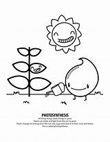 Coloring Photosynthesis Pages Energy Solar Drawing Kids System Record Bridge Brooklyn Pdf Color Sheets Getcolorings Getdrawings Need Printable Dj Speakers sketch template
