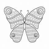 Insect Sketch Stress sketch template