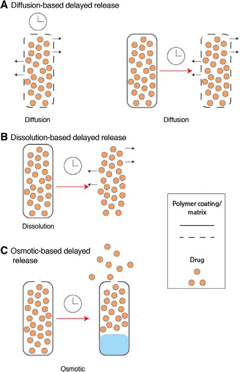 examples  delayed release drug delivery systems  scientific diagram