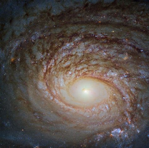 1億1000万光年先の特異渦巻銀河ngc 772 アストロピクス