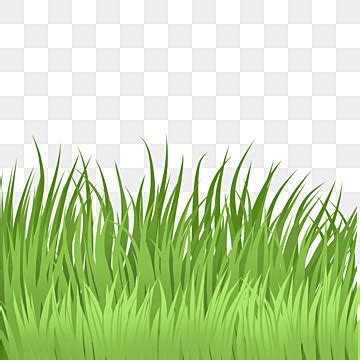 grass cartoon