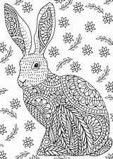 Coloring Bunny Pages Easter Colouring Adult Mandala Stress Amazon Rabbit Books Woodland Painting Bunnies Colour Print Buch Ideen Wenn Mal sketch template