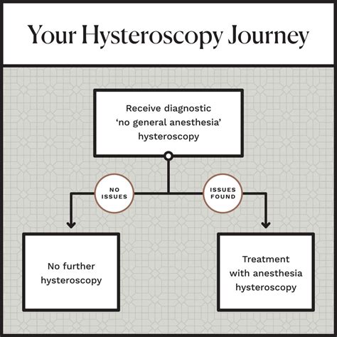 Hysteroscopy Infertility Diagnostic Process Las Vegas Infertility