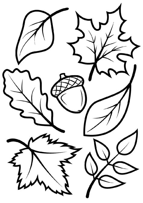 printable autumn leaves  color printable templates