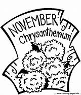 Coloring Chrysanthemum Pages November Printable Popular sketch template