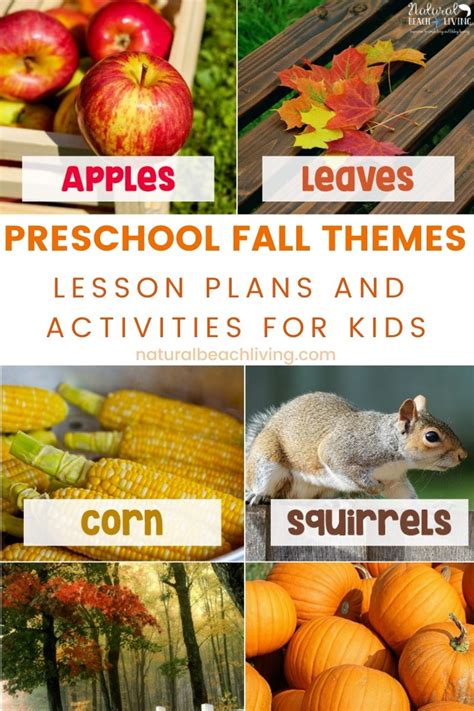fall preschool themes  activities natural beach living