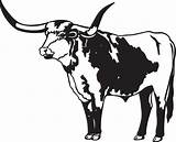 Longhorn Cow Clipartmag sketch template