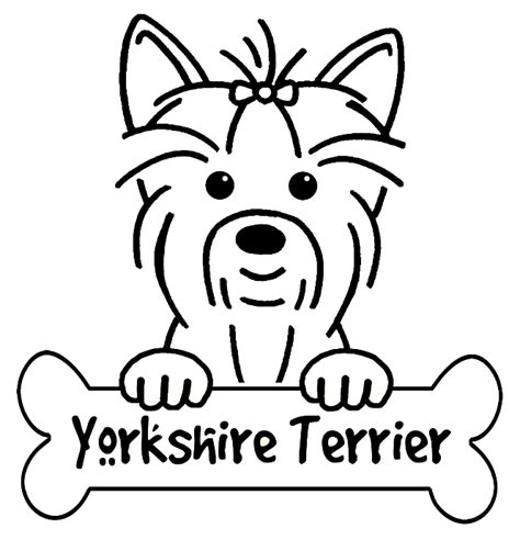 coloringpageyorkie dog drawing yorkie terrier yorkshire terrier