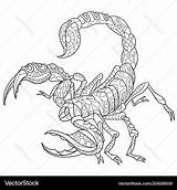 Scorpion Coloring Vector Royalty sketch template