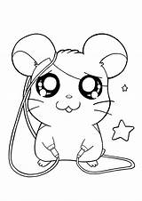 Coloring Pages Hamtaro Cute Colouring Picgifs Drawings Sheets Printable Cartoon sketch template