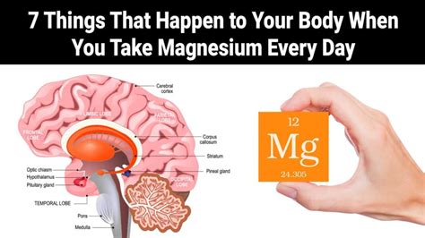 7 things that happen to your body when you take magnesium every day
