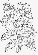 Bordar Dibujos Bordado Chino Coloring Florales Videojuegos Patrones Rosas Plantillasdedibujos Personajes sketch template