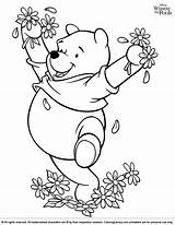 Pooh Coloring Winnie Pages Flowers Printable Coloringlibrary Flower Choose Board Cartoon Disney sketch template