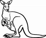 Kangaroo Coloring Drawing Template Pages Face Printable Zoo Kids Getdrawings sketch template