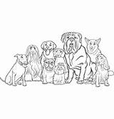 Vector Coloring Pages Bullmastiff Cartoon Spaniel Cocker Dog Book Template sketch template