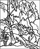 Baum Landschappen Schematisch Paysages Kleurplaten Landschaften Ausmalbilder Coloriages Kleurplaat Animaatjes Coloringpages1001 Malvorlage sketch template