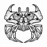 Cancer Crab Raka sketch template