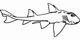 Shark Peixes sketch template