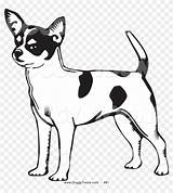 Chihuahua Coloring Dog Pages Chiwawa Bing Transparent Patterns Pngfind sketch template