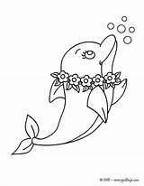 Dibujo Arte Para Colorear Delfin Dibujos Líneas Con Animales Mar Infantiles Imagen Niños sketch template