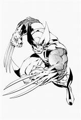 Wolverine Danieguto sketch template