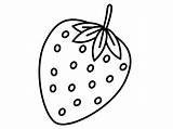 Strawberry Mewarnai Buah Paud Marimewarnai Juga Postpic Berbagai Macam Erdbeeren sketch template