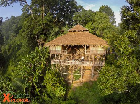 tree house hideaway treehouses  rent  tambon sriphum  muang chiang mai chiang mai