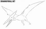Draw Pterodactylus Drawing Ayvazyan Stepan Tutorials Animals Posted sketch template