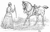 Horsemanship Djvu sketch template