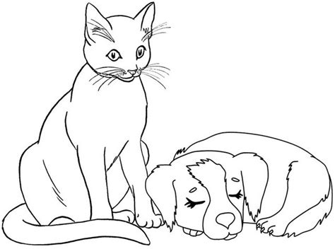 cat   sleeping dog coloring page