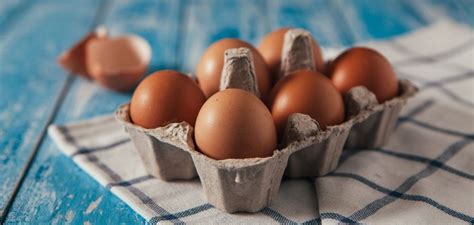 cracking  date code  egg cartons unl food