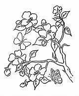 Coloringhome Flower sketch template