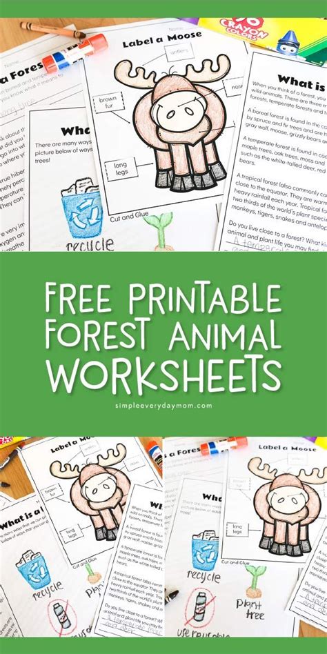 printable forest animal worksheets  kids animal worksheets