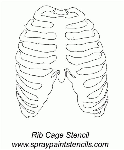 skeleton rib cage template printable  printable