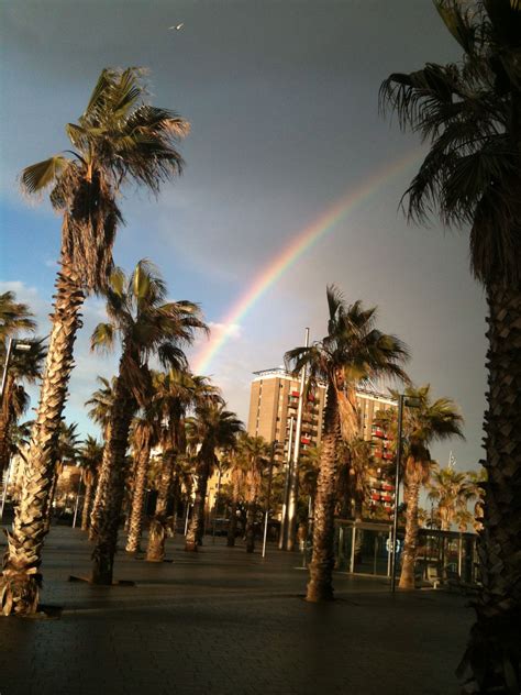 rainbow  barcelona