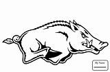 Razorback Arkansas Coloring Razorbacks Boar Svg Printable Pages Outline Drawing Head Clipart  Logo Clip Wild Digital Ar Stencil Pig sketch template