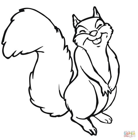 squirrel coloring page clipart   cliparts  images