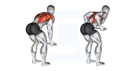 Bent Over Row With Towel Guide Benefits And Form
